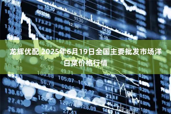龙辉优配 2025年6月19日全国主要批发市场洋白菜价格行情