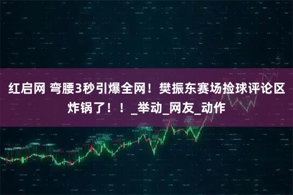 红启网 弯腰3秒引爆全网！樊振东赛场捡球评论区炸锅了！！_举动_网友_动作